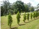 Eagle Heights QLD 4271