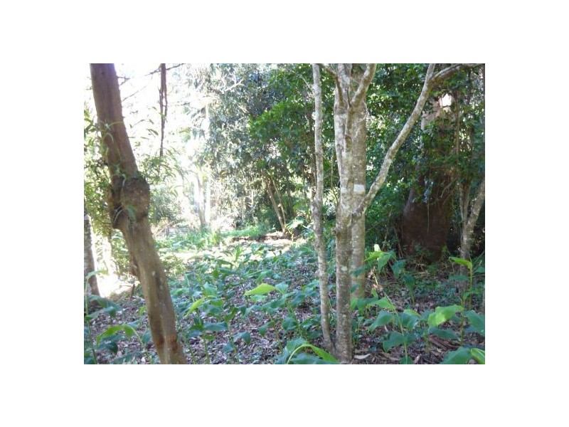 8 North Street, North Tamborine QLD 4272