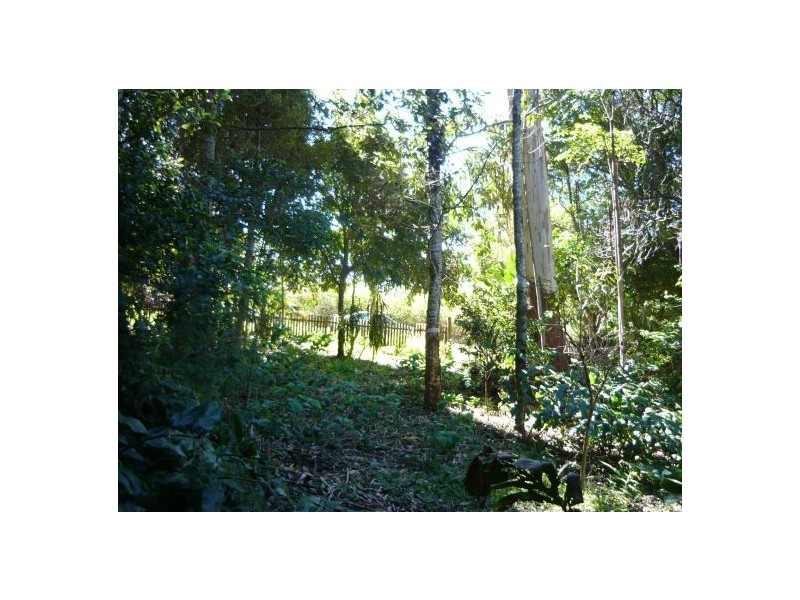 8 North Street, North Tamborine QLD 4272