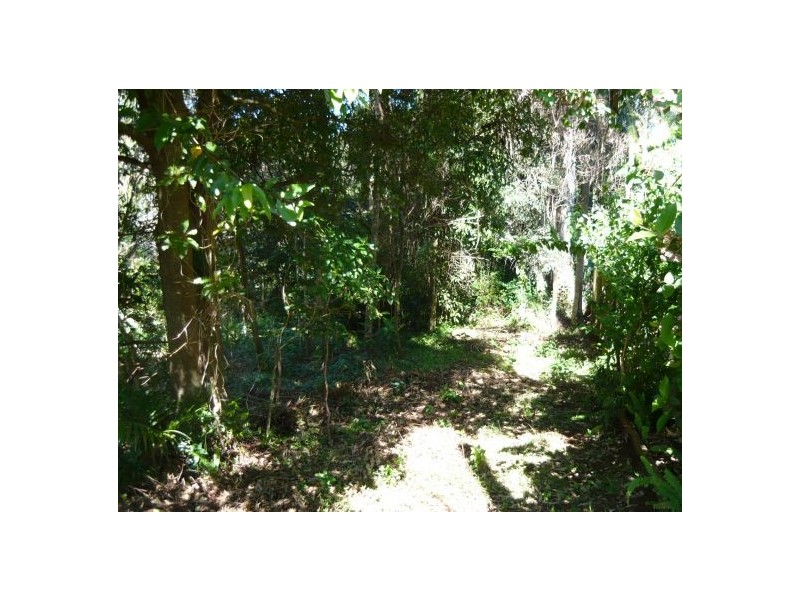 8 North Street, North Tamborine QLD 4272