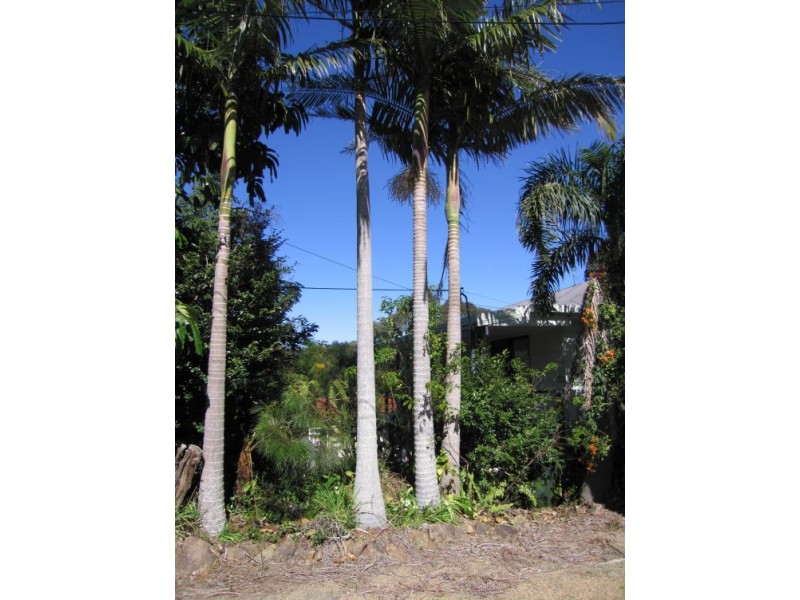 Eagle Heights QLD 4271