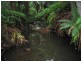Eagle Heights QLD 4271