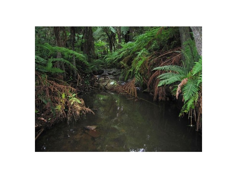 Eagle Heights QLD 4271