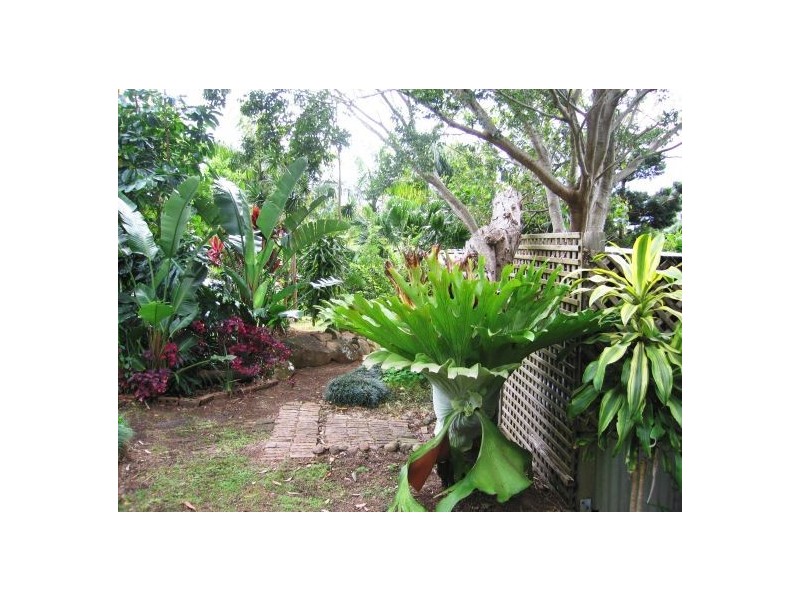 Tamborine Mountain QLD 4272