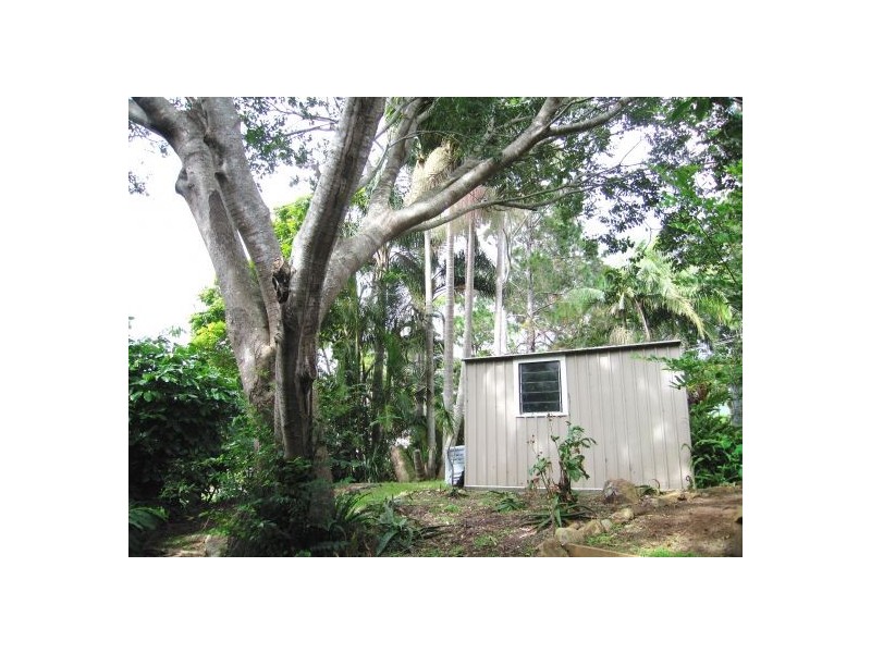 Tamborine Mountain QLD 4272