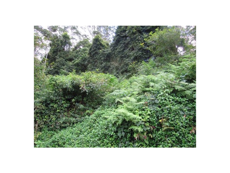 Eagle Heights QLD 4271