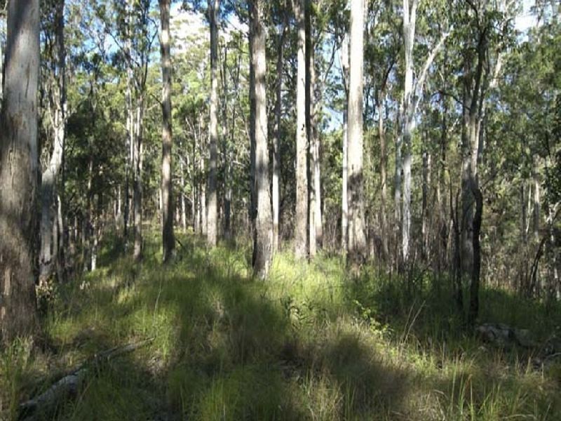 Eagle Heights QLD 4271