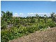 Bribie Island QLD 4507