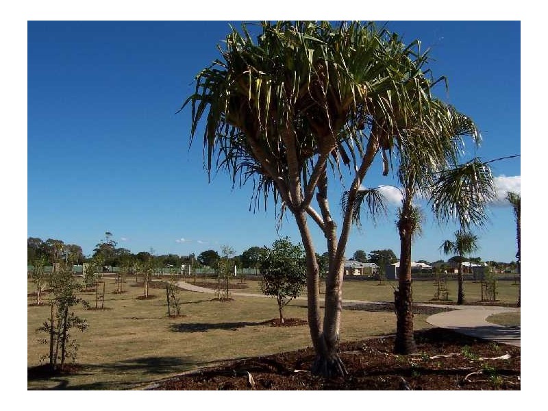 Banksia Beach QLD 4507