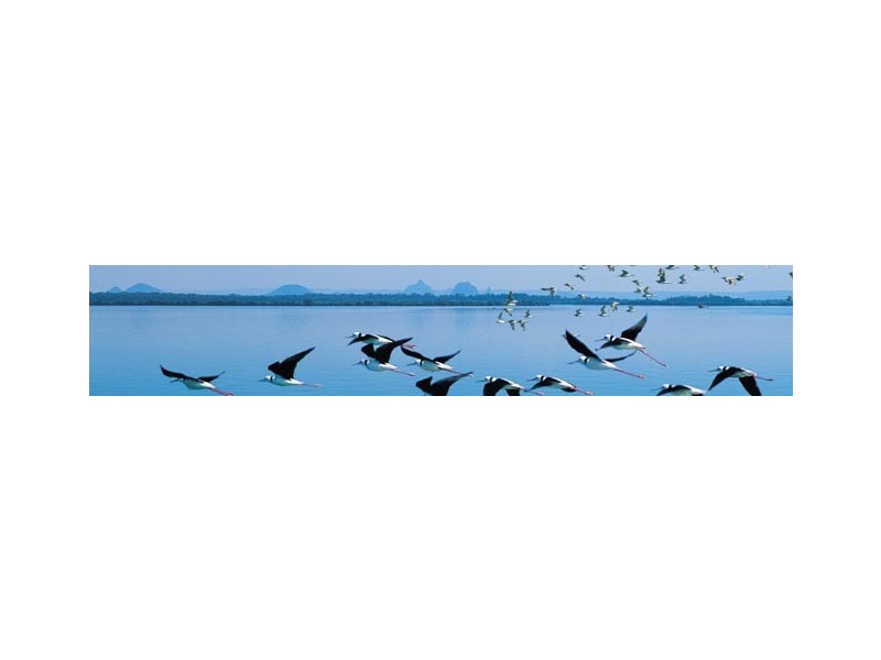 38 Kakadu Circuit, Bribie Island QLD 4507