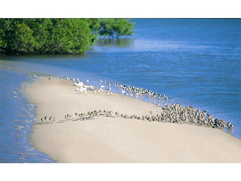 Banksia Beach QLD 4507