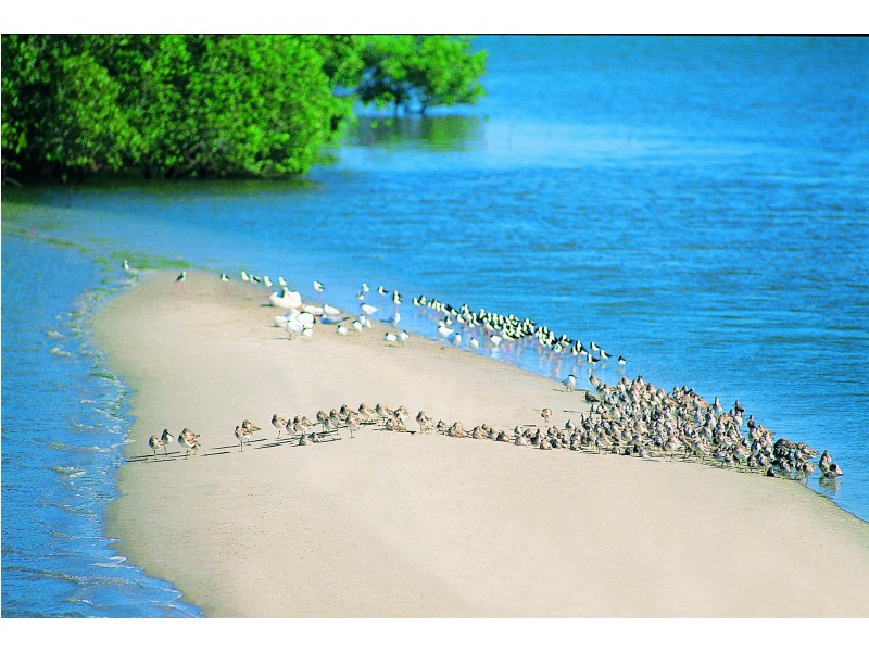 Banksia Beach QLD 4507