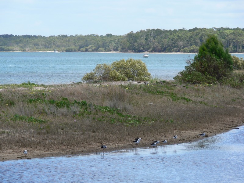 Banksia Beach QLD 4507