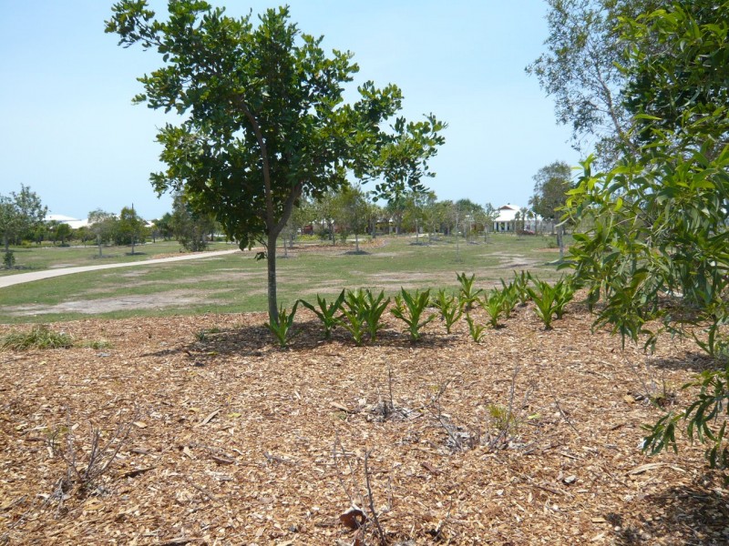 Banksia Beach QLD 4507