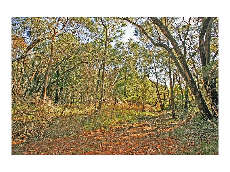 11 Galahad Close, Mount Colah NSW 2079