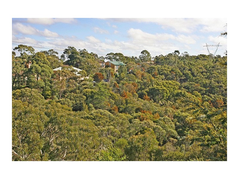 11 Galahad Close, Mount Colah NSW 2079