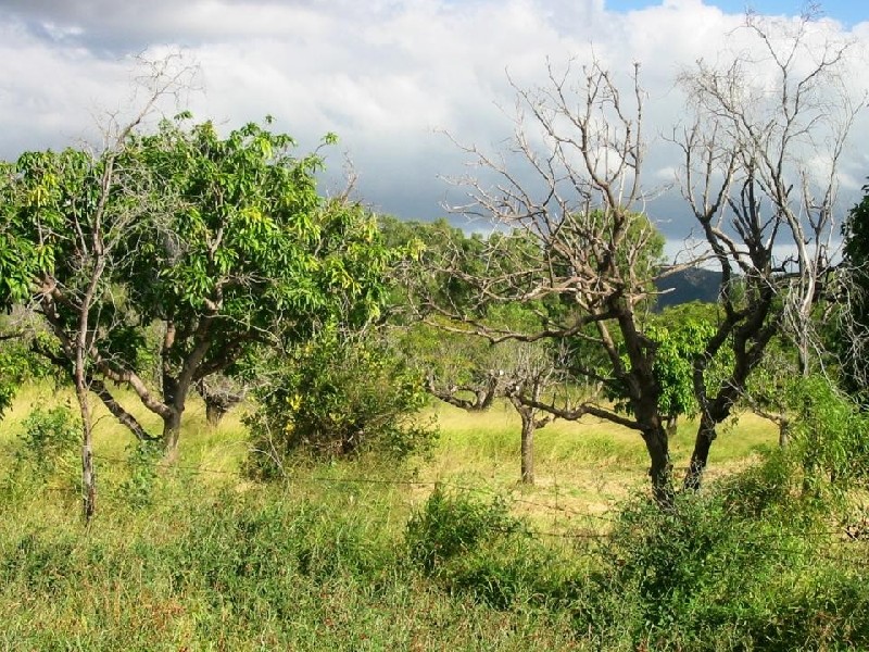 Bouldercombe QLD 4702