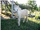 Bouldercombe QLD 4702