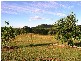 Bouldercombe QLD 4702