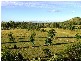 Bouldercombe QLD 4702