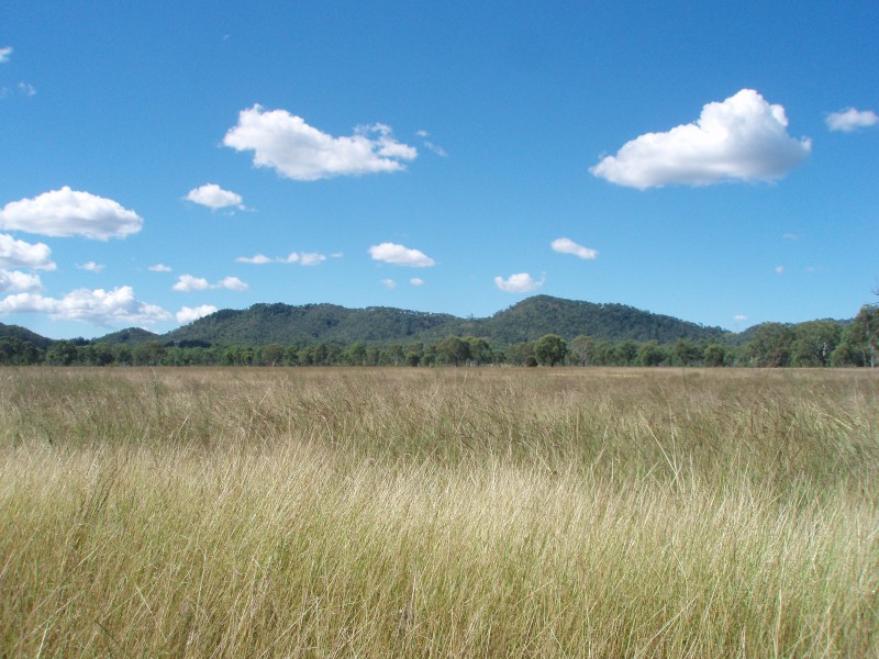 Mount Larcom QLD 4695