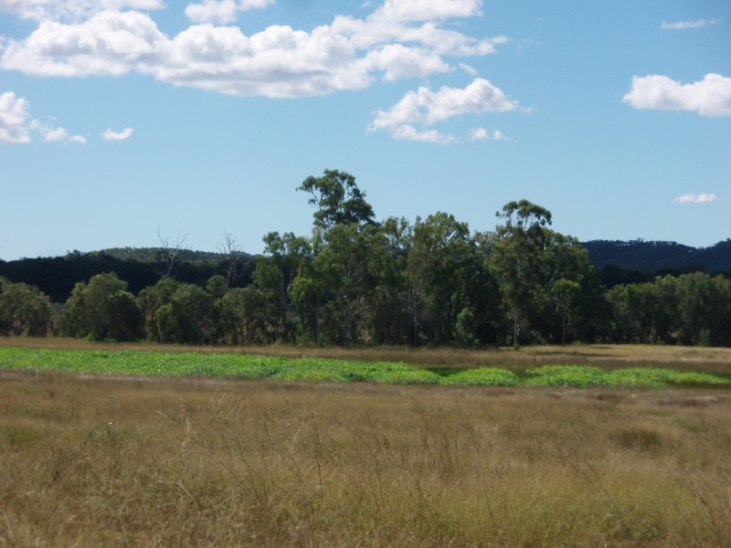 Mount Larcom QLD 4695