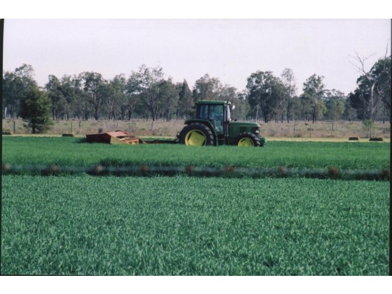 Alton Downs QLD 4702