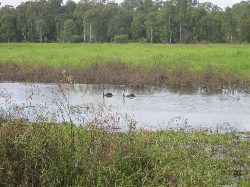 Alton Downs QLD 4702