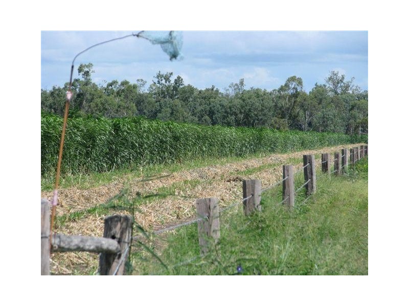Alton Downs QLD 4702