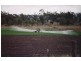 Alton Downs QLD 4702