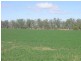 Callide QLD 4715