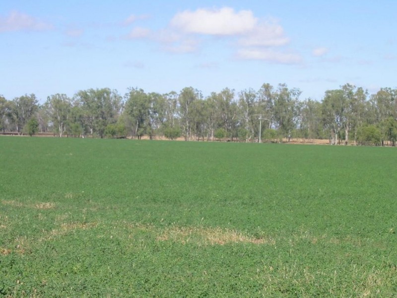 Callide QLD 4715