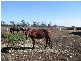 Callide QLD 4715