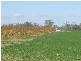 Callide QLD 4715
