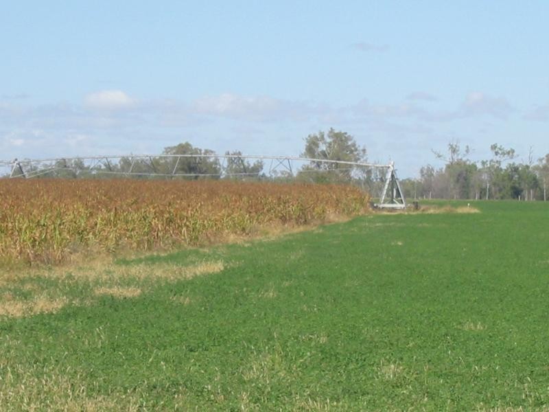 Callide QLD 4715
