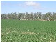 Callide QLD 4715