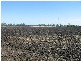 Callide QLD 4715
