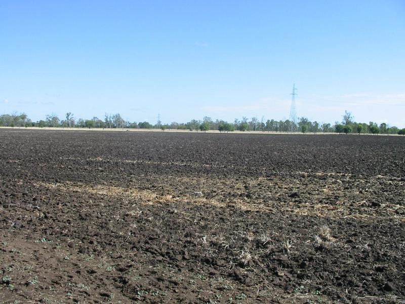 Callide QLD 4715