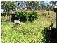 Milman QLD 4702