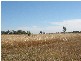 Alton Downs QLD 4702