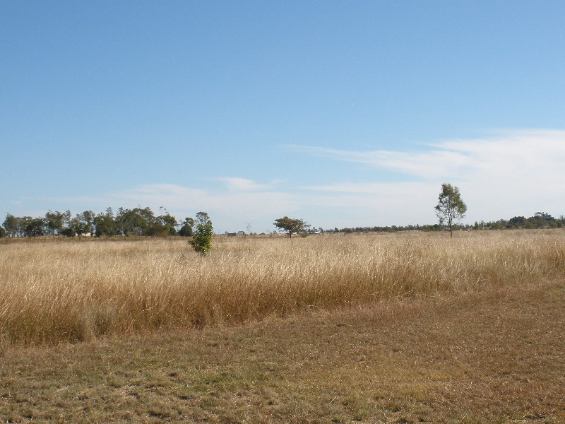 Alton Downs QLD 4702