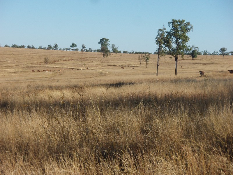 311 Pocket Creek Road, Wowan QLD 4702