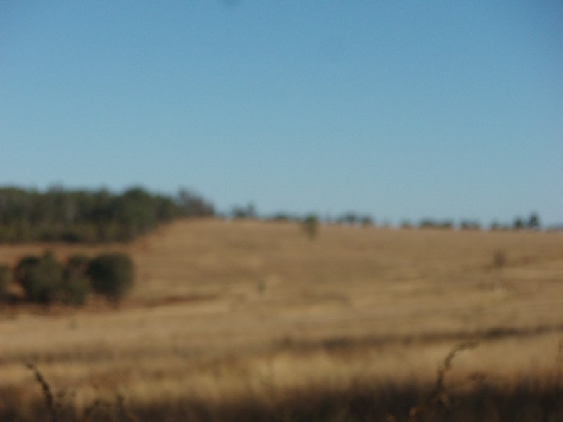 311 Pocket Creek Road, Wowan QLD 4702