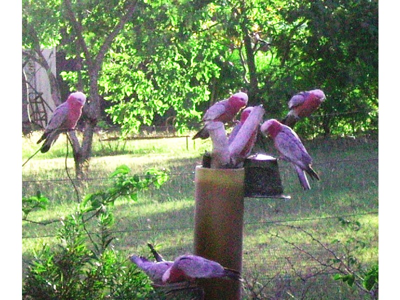 Bouldercombe QLD 4702