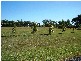 Bouldercombe QLD 4702