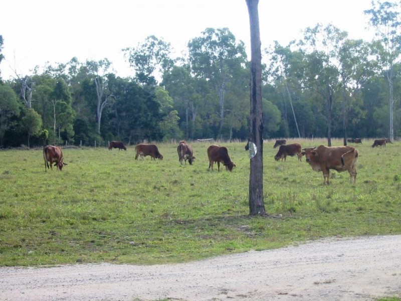 Foreshores QLD 4678