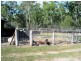 Foreshores QLD 4678
