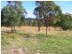Foreshores QLD 4678