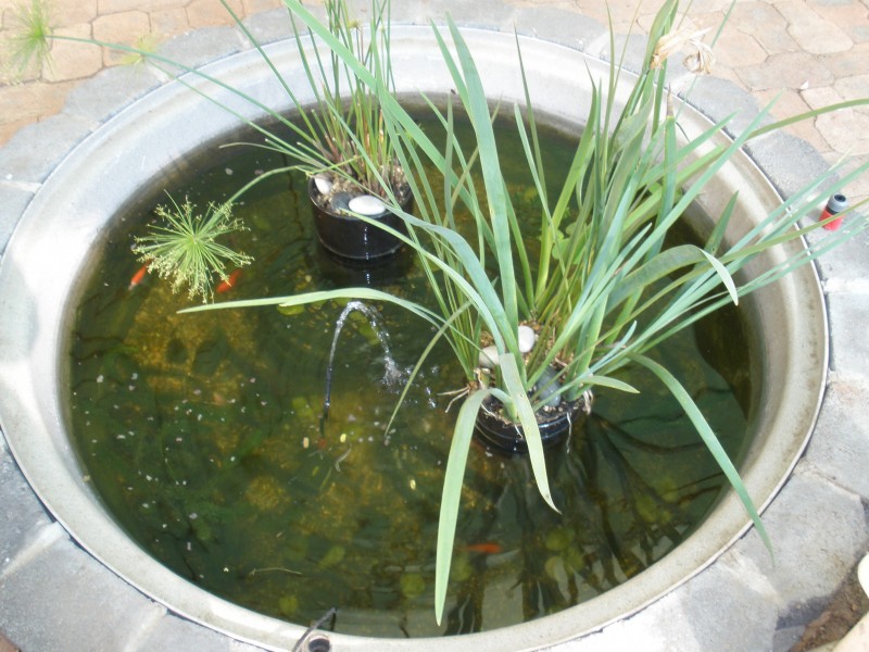 Bouldercombe QLD 4702