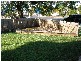 Rockhampton QLD 4700